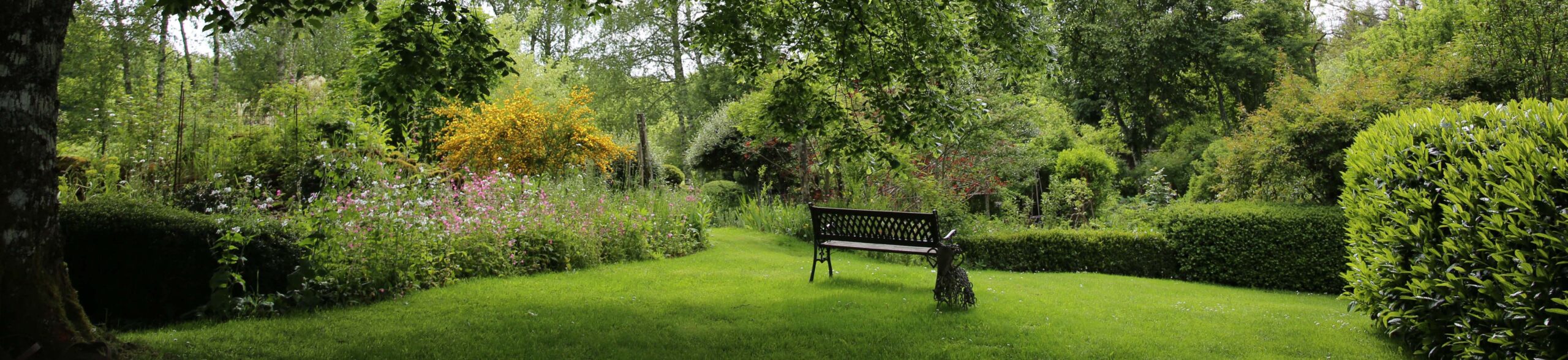 Banc sous tilleul avec vue calme sur le jardin d'Arsac